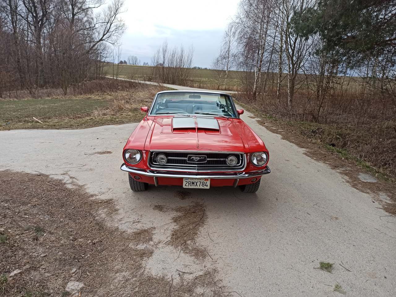 Ford Mustang